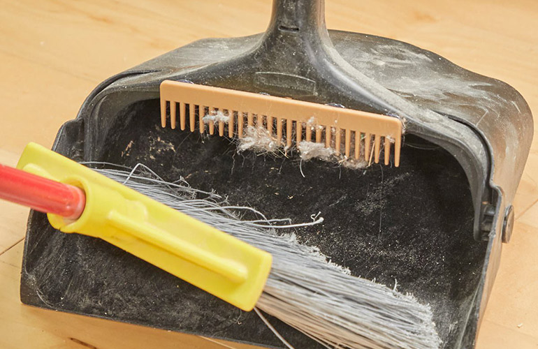 Dust bunny broom cleaner