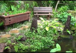 Aquaponic Pond System