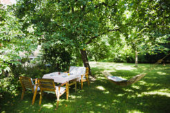 The Best Plants For A Shady Garden