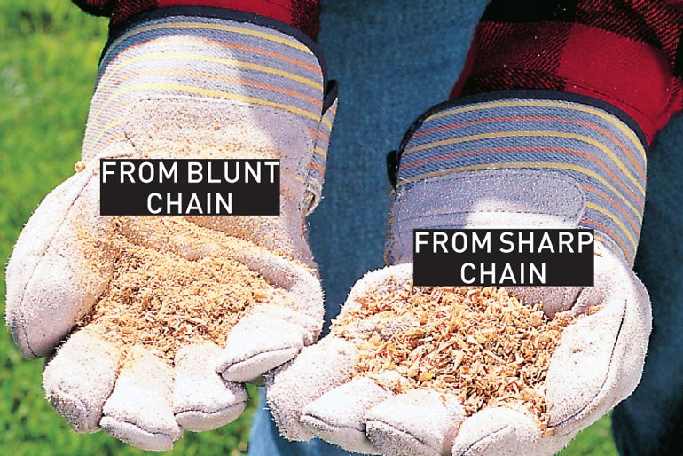 DIY Basics Essential Guide To Chainsaws New Zealand Handyman Magazine