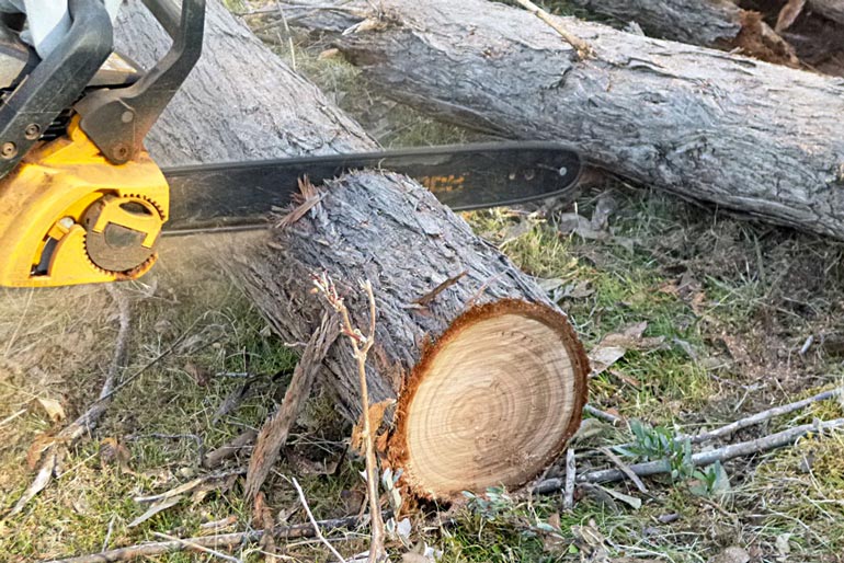 DIY Basics: Essential Guide To Chainsaws