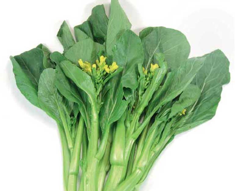 A Quick Guide To Growing Asian Greens New Zealand Handyman Magazine