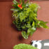 Wall-Mounted Planter 