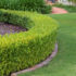 Guide To Autumn Lawn Care 