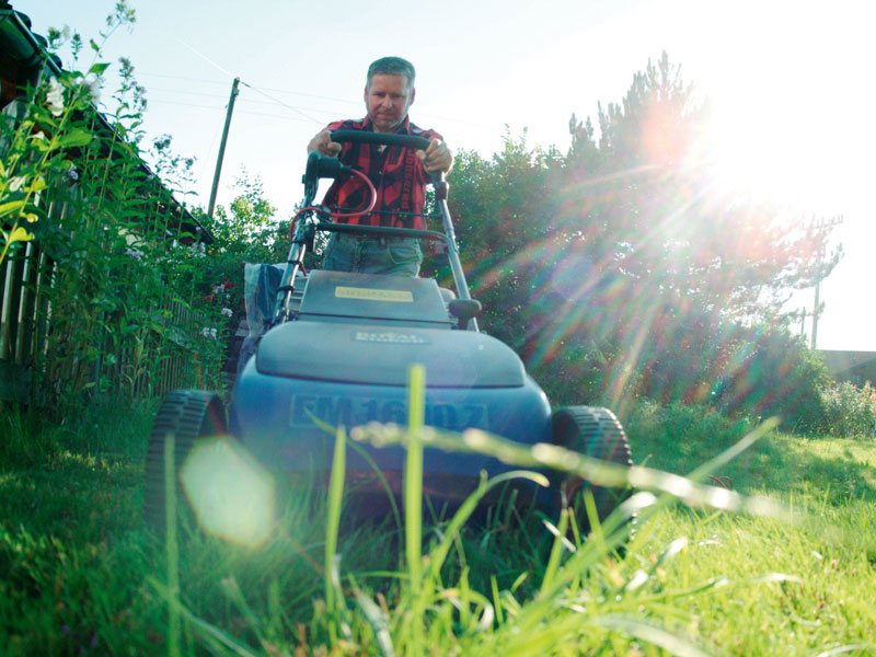 Late Autumn Lawn Care