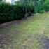 How To Lay A New Lawn In 3 Steps 