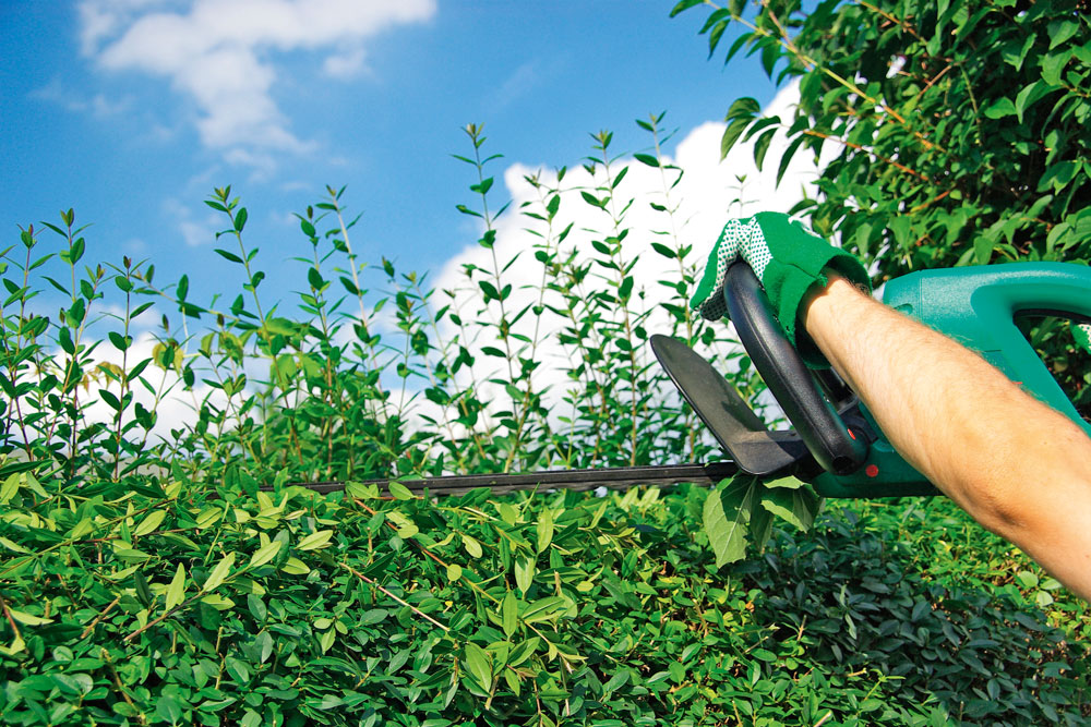 DIY Basics: Essential Guide To Pruners