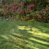 Lay a fake lawn, Handyman Magazine, Gardening, DIY