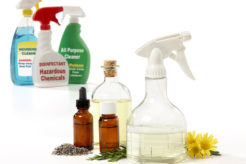 Essential Non-Toxic Cleaning Supplies