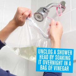 How To Unclog A Shower Head With Vinegar