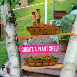 Create A Plant Shelf,