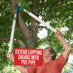 How To Cut High Tree Branches