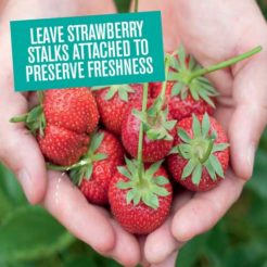 Here's How To Keep Strawberries Fresher For Longer