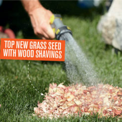 How To Remember Where You Have Spread Lawn Seed