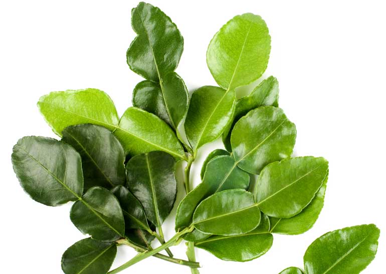 6. Kaffir lime