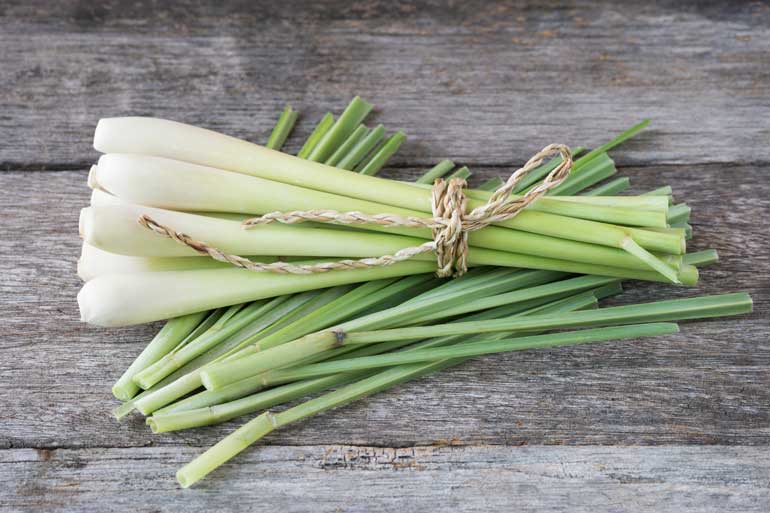5. Lemongrass