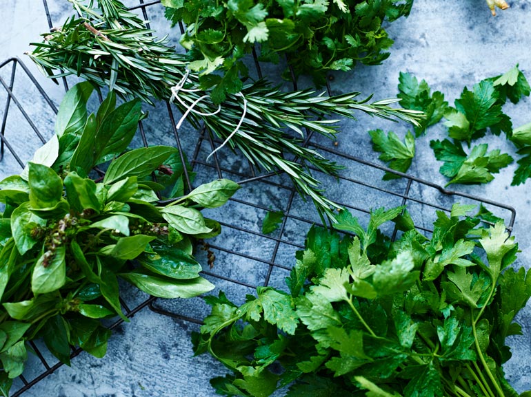 How to grow fantastic summer herbs New Zealand Handyman Magazine