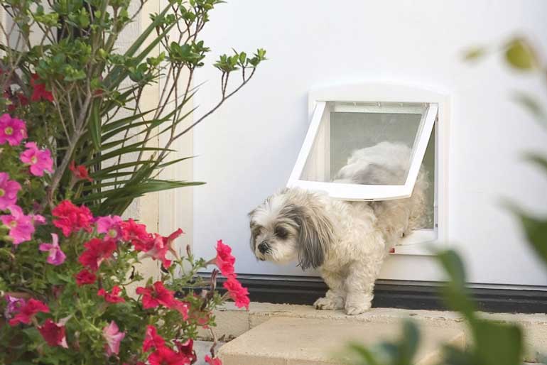 Install A Pet Door