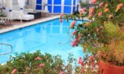 What To Plant Around A Pool