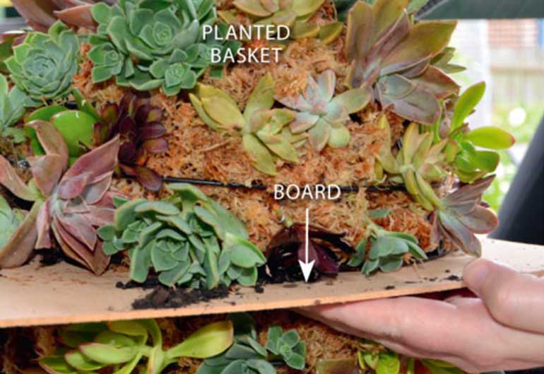 Step 3. Make the ball