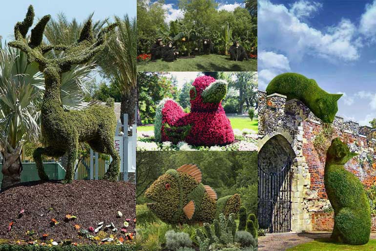 5 Amazing Feats Of Topiary