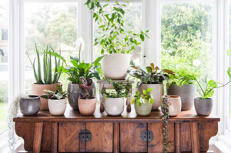 4. More than just a plant pot