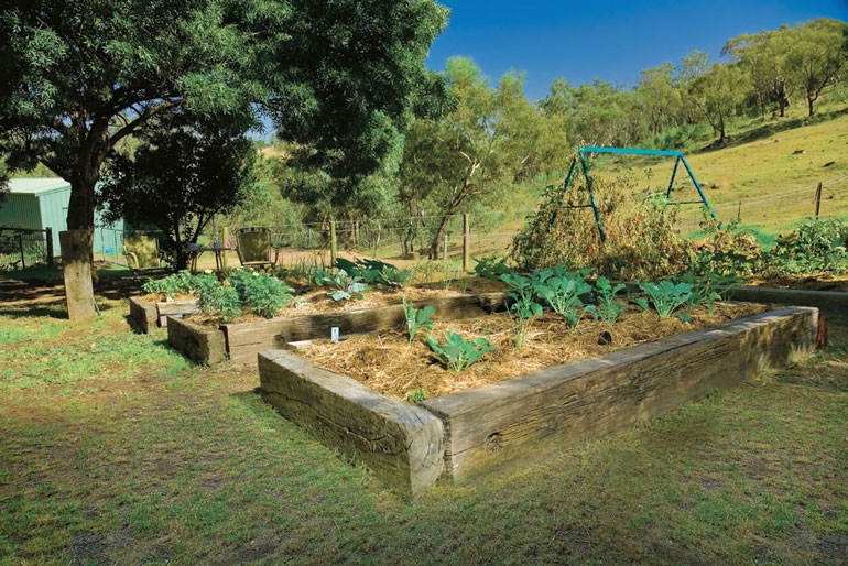 No-Dig Vegetable Patch