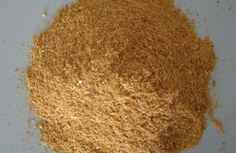 16 ways to kill garden weeds New Zealand Handyman Magazine