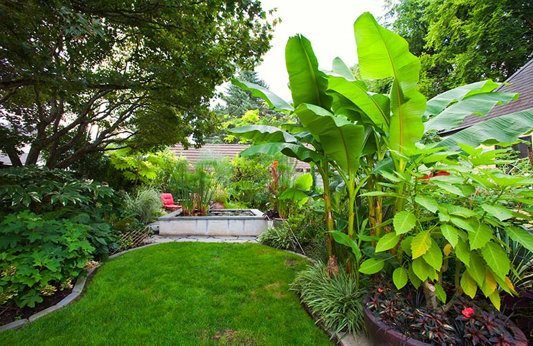 Look after the outside space