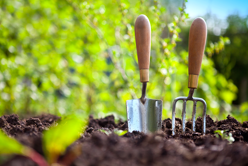 Protect Garden Tools - Image: istock