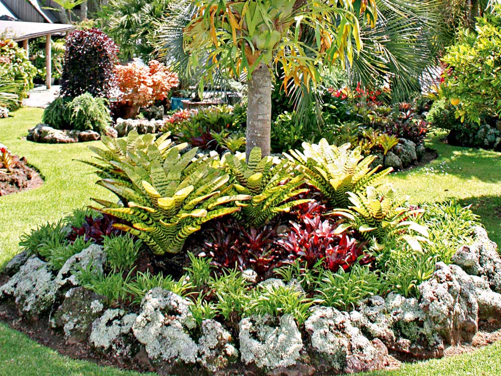 How To Plan A Tropical Garden