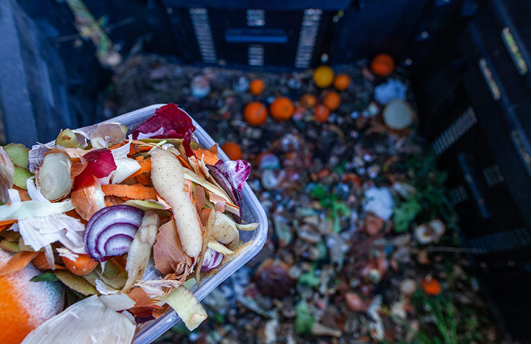 10 things you didn’t know you could compost