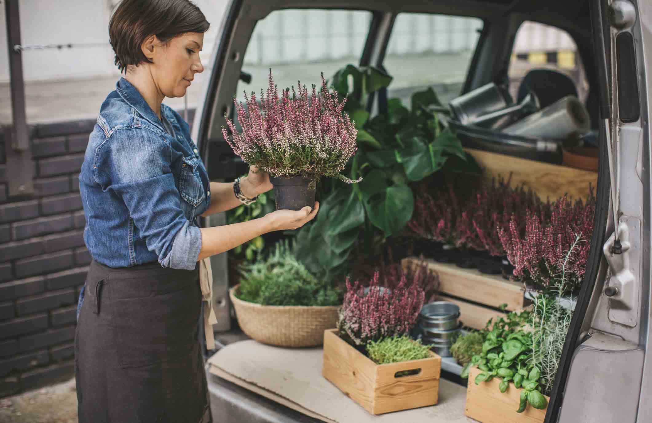 Transport your plants