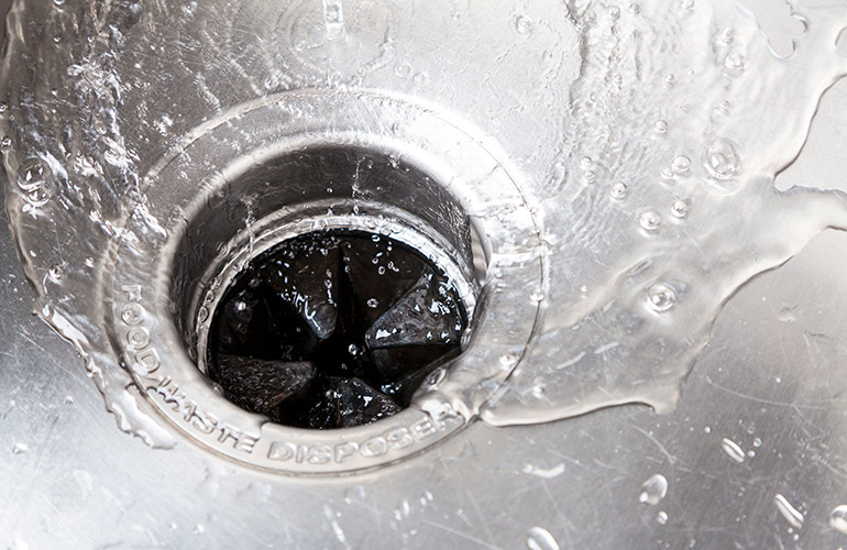 Clean the garbage disposal