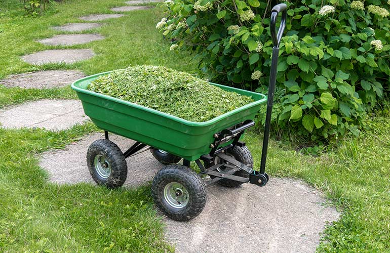 Grass clippings cause thatch to build up