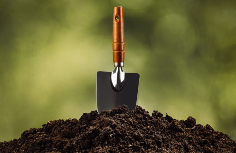 Dirt has surprising benefits