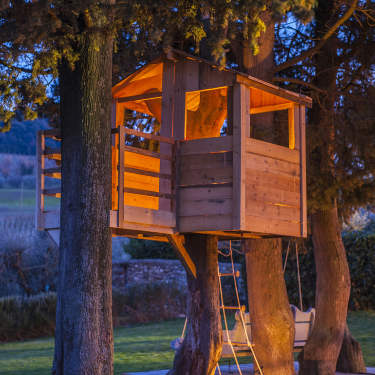 Where should you build a treehouse?