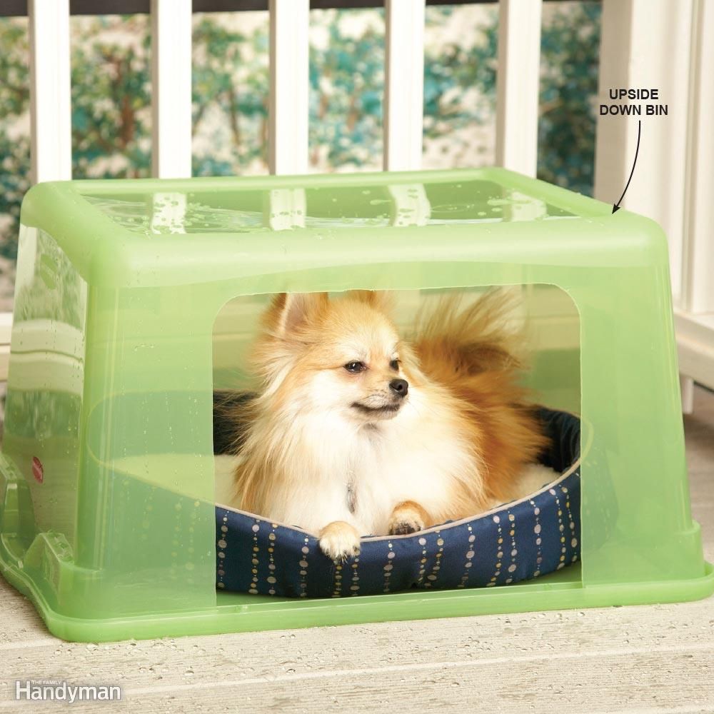 Rainy-day doghouse