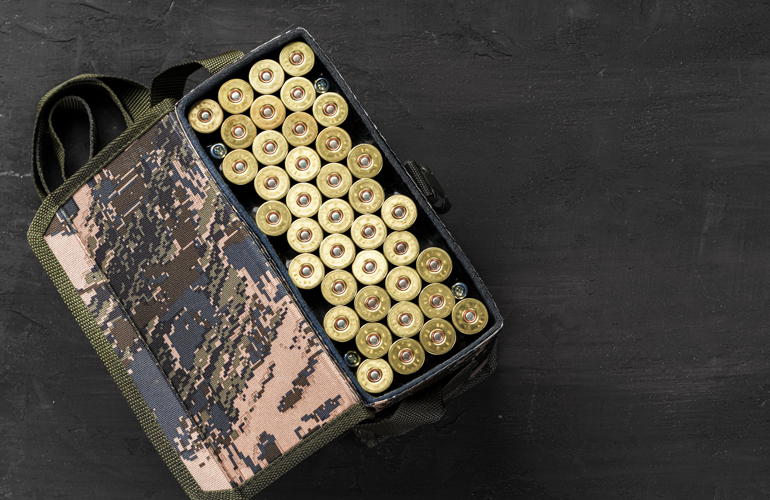 Shotgun shells