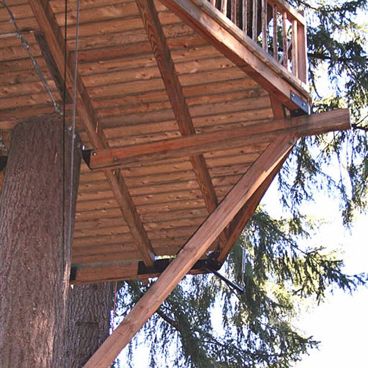 Be conscious of tree house safety issues