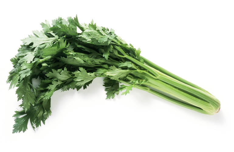 Celery
