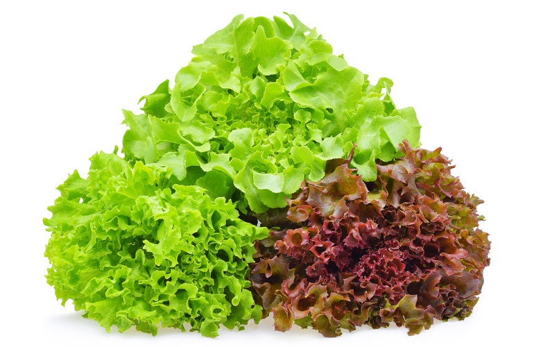 Lettuce
