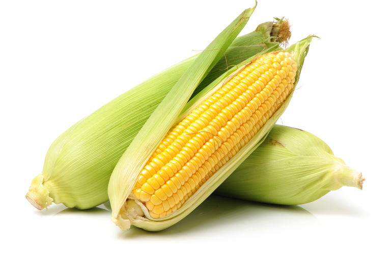 Sweet Corn