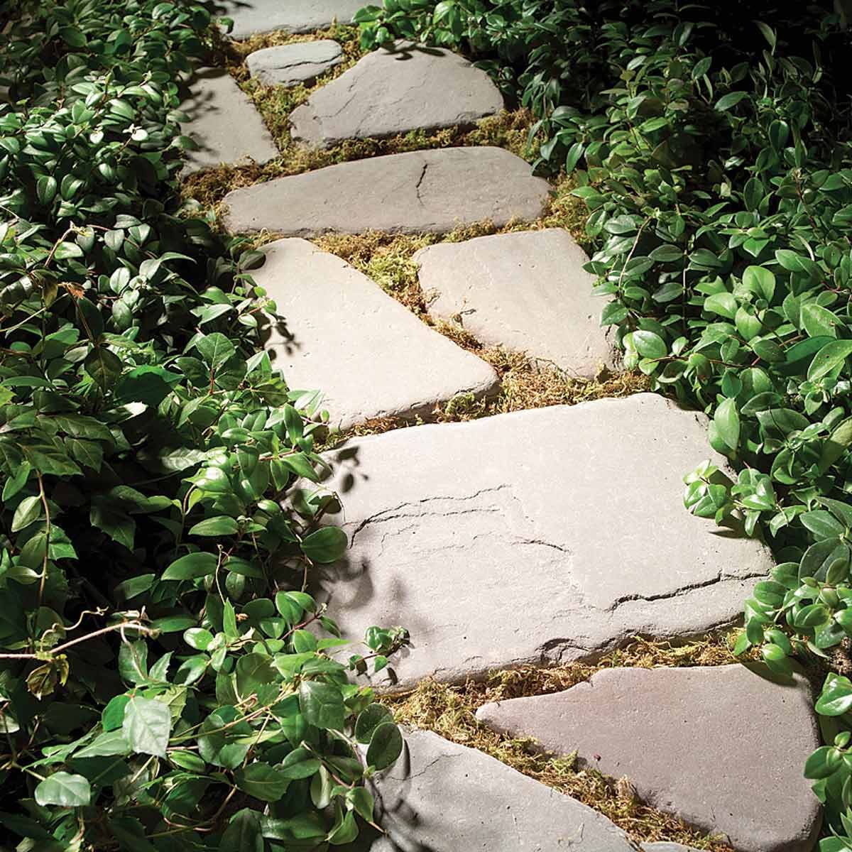 Paver walkway ideas: tips for building a planted path