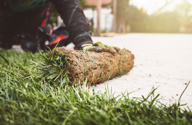 Leave the final touches for yourself