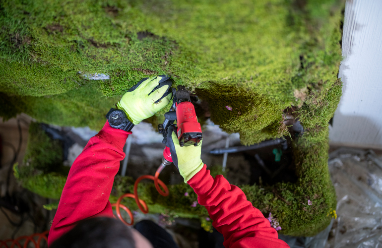 Have realistic expectations