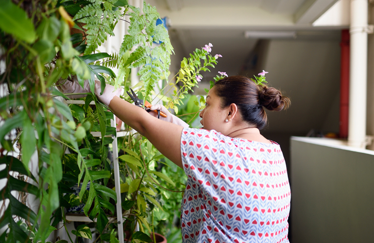 What are the downsides of living walls?