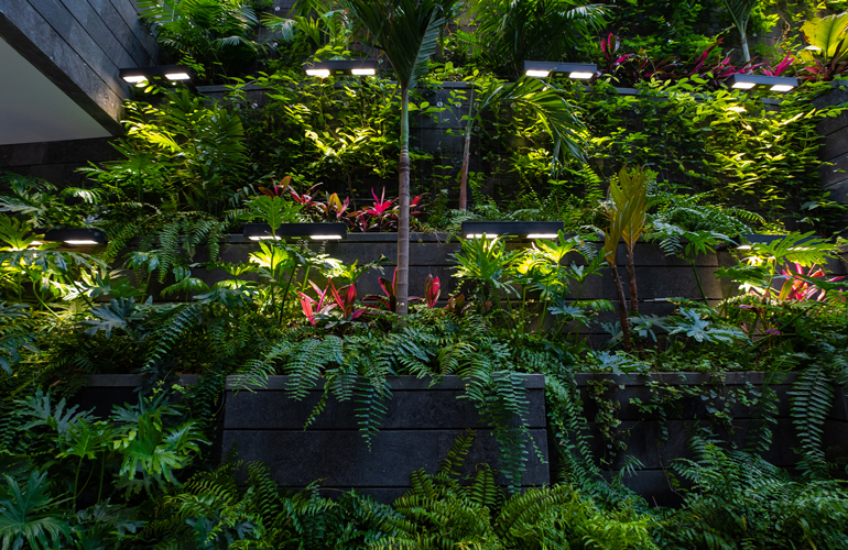 Basic requirements for an outdoor living wall