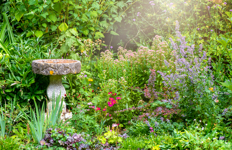 Garden decor ideas to attract wildlife