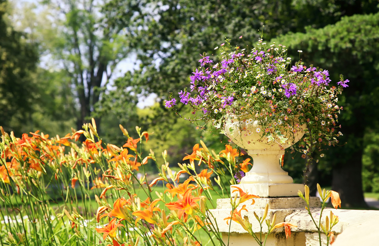 Garden pedestals for height and dimension